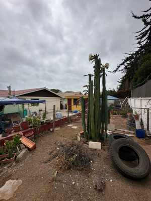 se-vende-casa-en-pasaje-cerrado-remodelada-(153-8