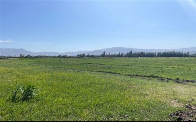 -4