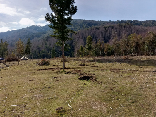 lindas-parcelas-5000mts-limpias-y-planas,-loncoche-9