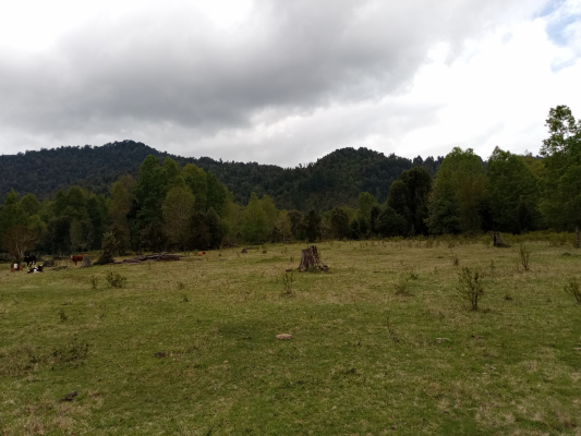 parcelas-cudico-15-km-de-lican-ray,-lindo-y-tra-6