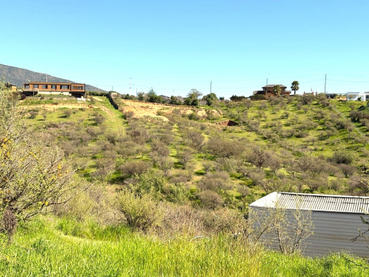 se-vende-parcela-en-limache-de-5000-mts-8