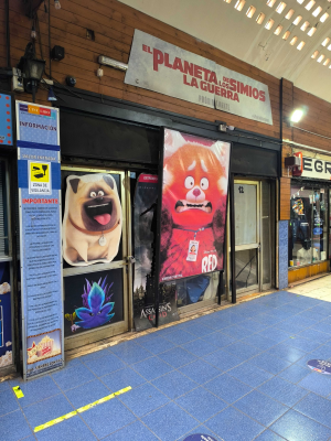 locales-comerciales-en-el-centro-de-osorno-(128-3