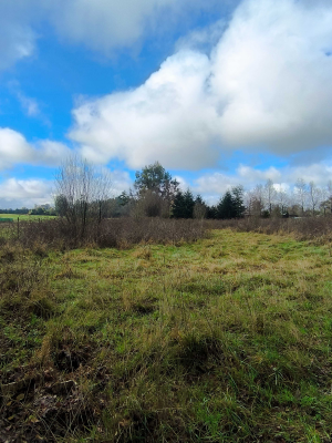 5700-m²-en-sector-consolidado-osorno-(153364)-4