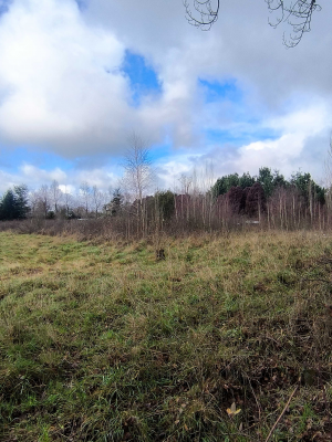 5700-m²-en-sector-consolidado-osorno-(153364)-5