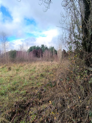 5700-m²-en-sector-consolidado-osorno-(153364)-6