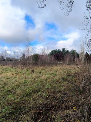 5700-m²-en-sector-consolidado-osorno-(153364)-7