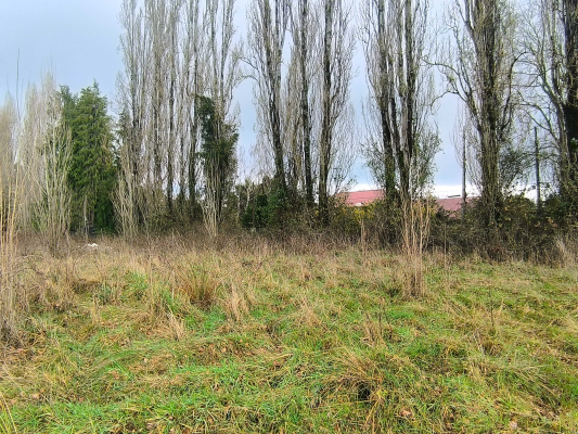 5700-m²-en-sector-consolidado-osorno-(153364)-8