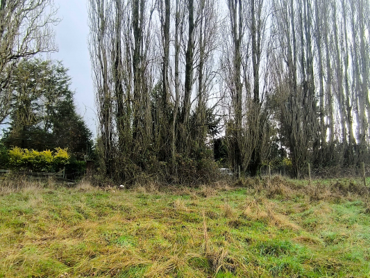 5700-m²-en-sector-consolidado-osorno-(153364)-9