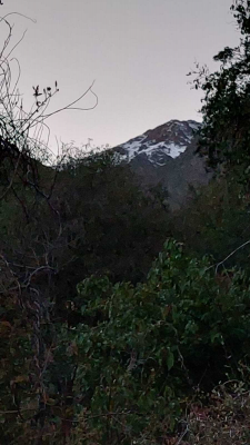 -14