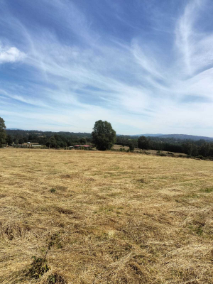 venta-parcela-a-25-minutos-de-villarrica-(153553)-4
