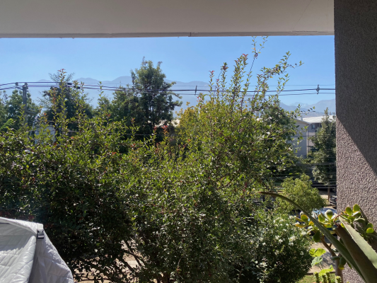 venta-departamento-3d/1b-con-terraza-y-logia-9