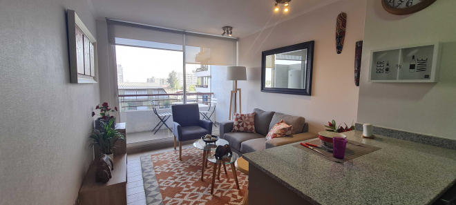 depto-1-dorm-excelente-vista-(144264)-4