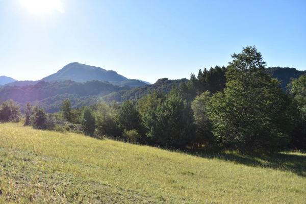 oportunidad-de-inversion-rural-(144871)-4