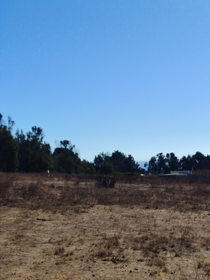 venta-terreno---sitio-1150mts-quintero-5