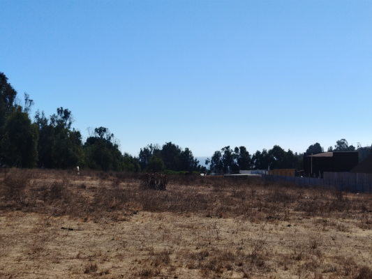 venta-terreno---sitio-1150mts-quintero-9