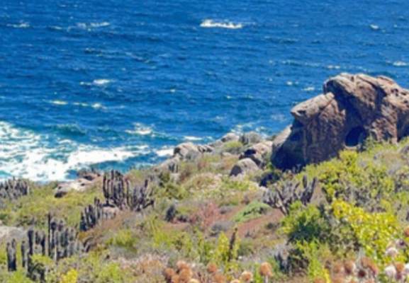 venta-terreno---sitio-62000mts-coquimbo-3