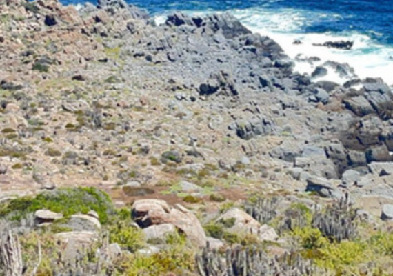 venta-terreno---sitio-62000mts-coquimbo-7