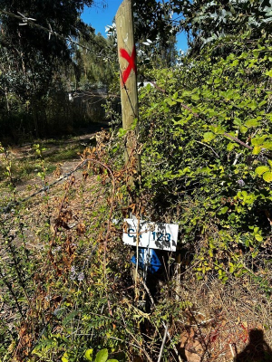 -12