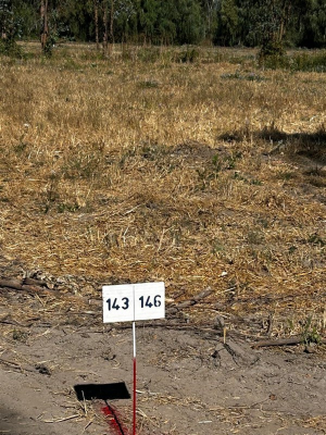 -16