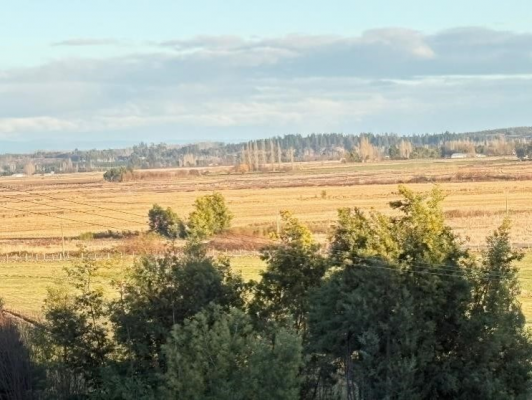 110109399-5
