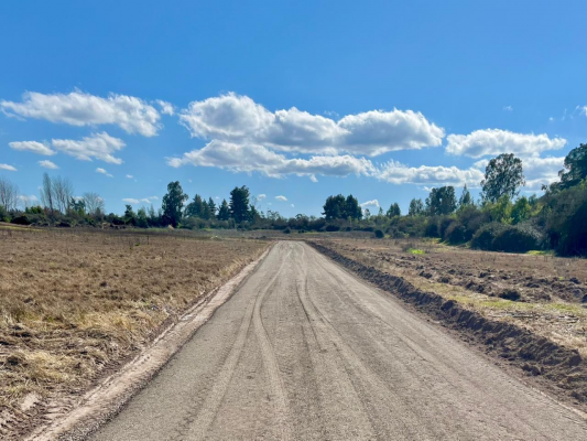 5000m2-vive-rodeado-de-naturaleza-(153860)-3
