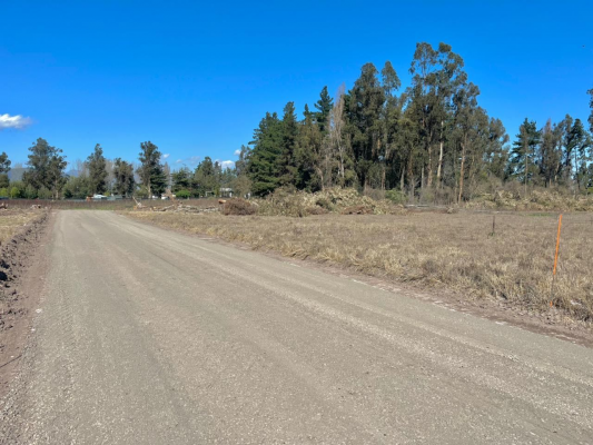 5000m2-vive-rodeado-de-naturaleza-(153860)-6