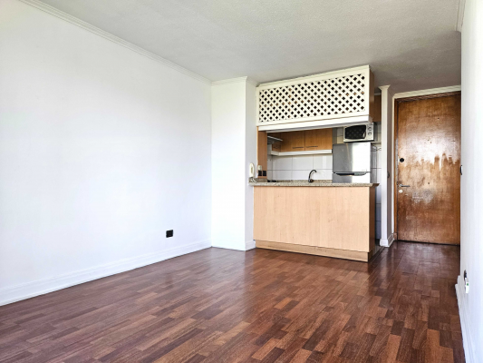 venta-dpto-providencia,-av-andres-bello-(141-6