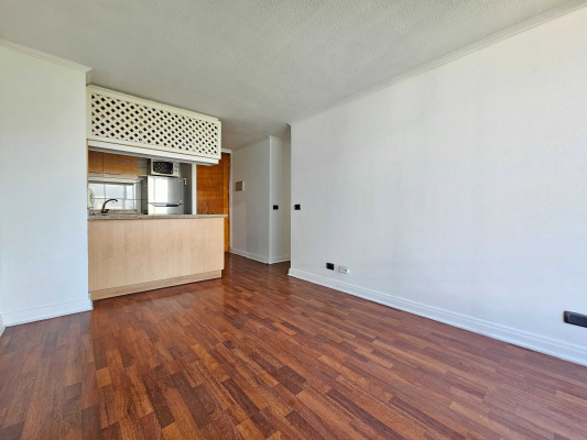 venta-dpto-providencia,-av-andres-bello-(141-7