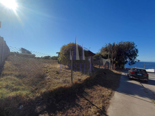 p20266816gbx-4