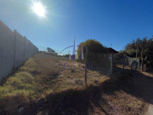 p20266816gbx-6