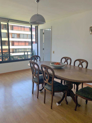 lindo-departamento-(66382)-6