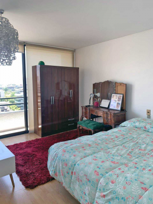 lindo-departamento-(66382)-8