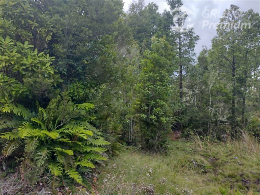 114075468-7