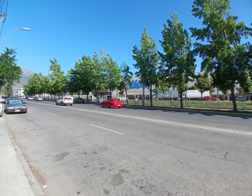 terreno-ubicacion-privilegiada/-sta-amalia-(64-4