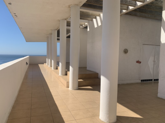 -19