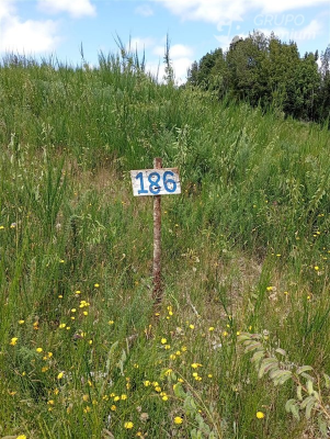 -10