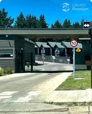 -20