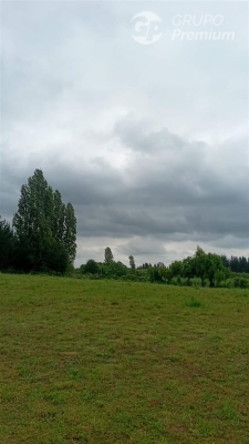 114075628-6