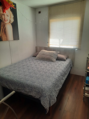 -19