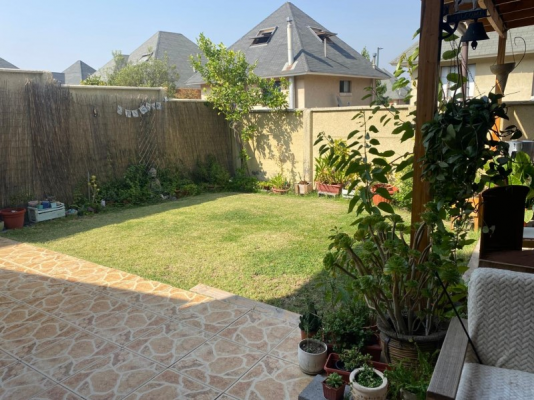 -19