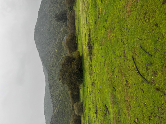 parcelas-10000-m2-miraflores-curacavi-planas-r-9
