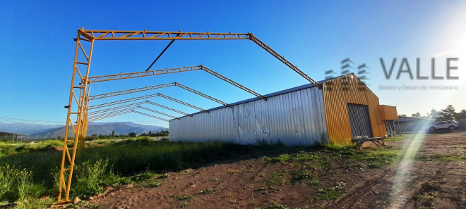 -5