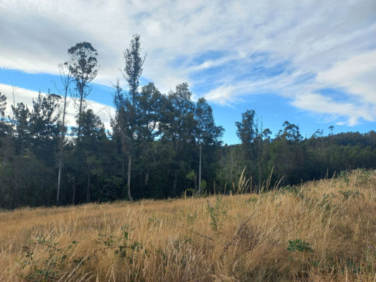 p20266928bo0-6