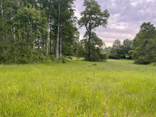 p20266930oxn-7
