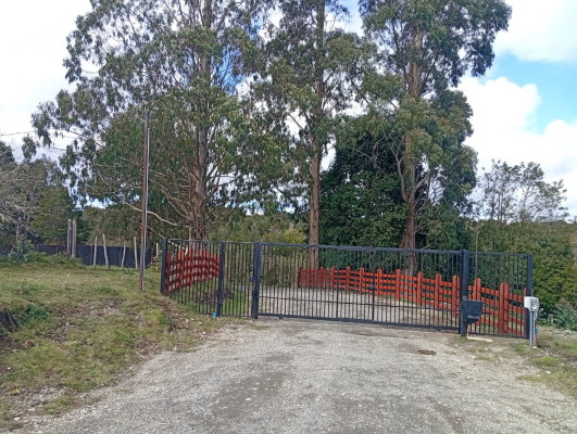venta-terreno---sitio-5000mts-maullin-3