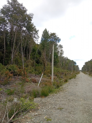 venta-terreno---sitio-5000mts-maullin-4