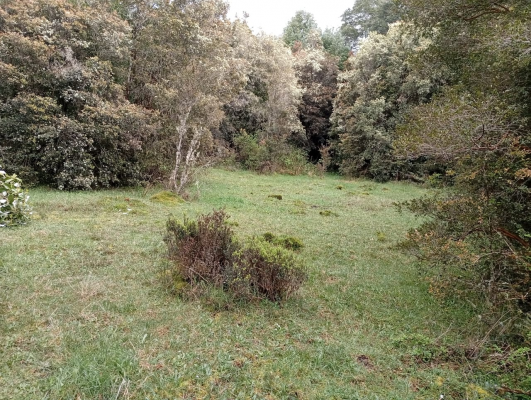venta-terreno---sitio-5000mts-maullin-5