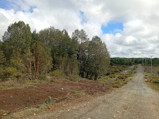 venta-terreno---sitio-5000mts-maullin-6