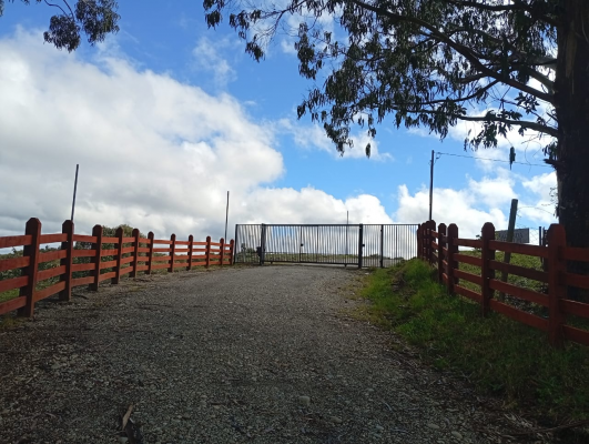 venta-terreno---sitio-5000mts-maullin-8