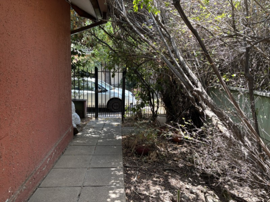 -11